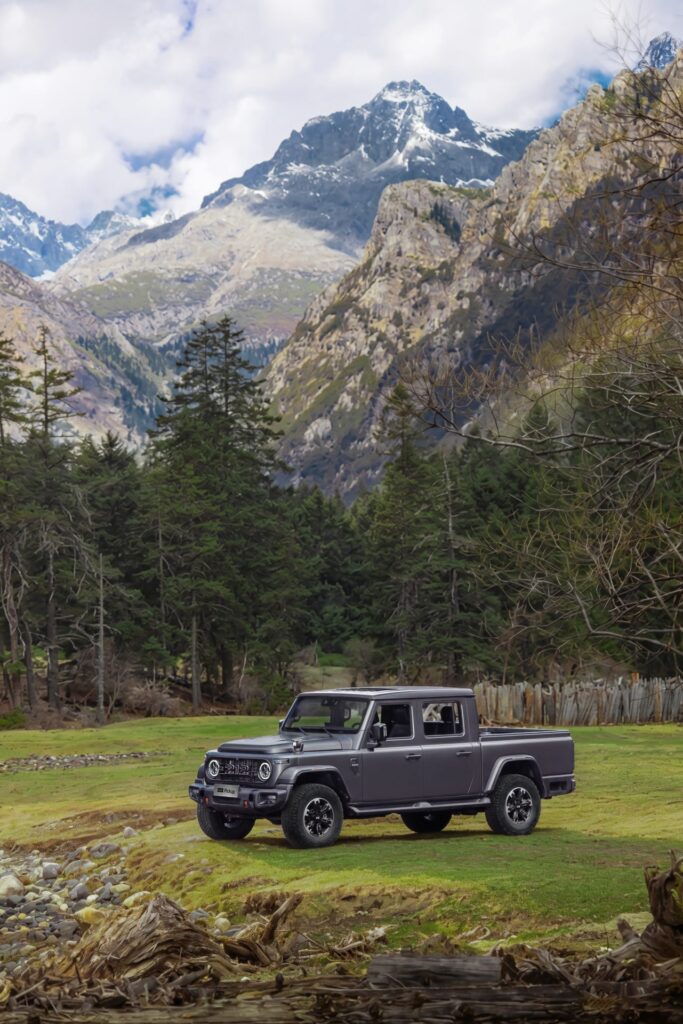 BAW 212 Pickup