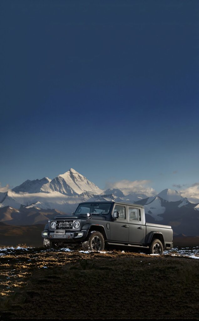 BAW 212 Pickup